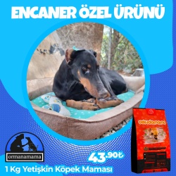 Encander Özel 1 Kg Yetişkin Köpek Maması