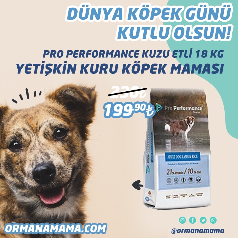 Pro Performance Kuzulu Yetişkin Köpek Maması 18Kg