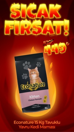 Econature Kitten 15 Kg Tavuklu Yavru Kedi Maması (Direkt Alım)