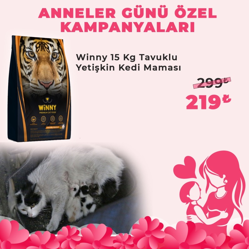 Winny Premium Cat Tavuklu 15 Kg Yetişkin Kedi Maması
