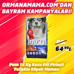 Paco Kuzu Etli Yetişkin Köpek Maması 15 Kg