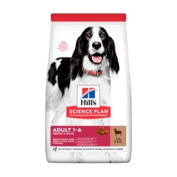 Hills Adult Lamb Kuzu Etli Orta Irk Yetişkin Köpek Maması 14 Kg