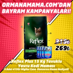 Reflex Plus Tavuklu Yavru Kedi Maması 15 Kg  4 Adet 415 Gr Miglior Gatto Konserve Hediye