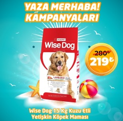 Wise Dog Kuzu Etli Yetişkin Köpek Maması 15 Kg