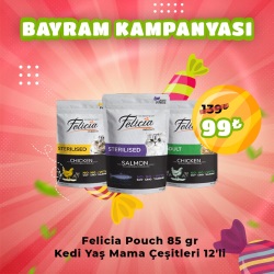 Felicia Pouch 85 gr Kedi Yaş Mama Çeşitleri 12'li
