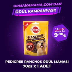 Pedigree Ranchos Etli Ödül Maması 70 gr x 1 Adet