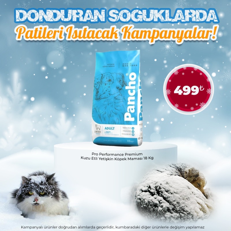 Pancho 15 Kg Kuzu Etli Yetişkin Köpek Maması