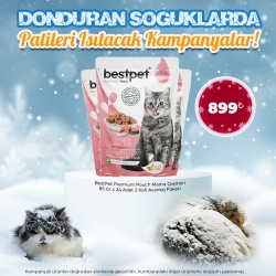 BestPet Premium Pouch Mama Çeşitleri 85 Gr x 24 Adet 2'li Avantaj Paketi 