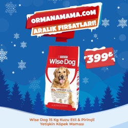 Wise Dog 15 Kg Kuzu Etli ve Pirinçli Yetişkin Köpek Maması