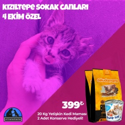 Kızıltepe Sokak Canları 4 Ekim Özel