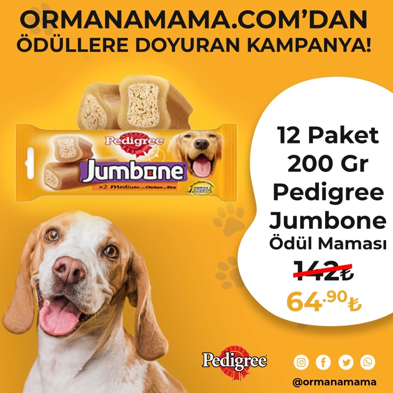 Pedigree Jumbone Medium Köpek Ödül Kemiği 12x200 Gr