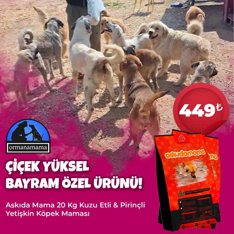 Çiçek Yüksel Bayram Özel Ürünü