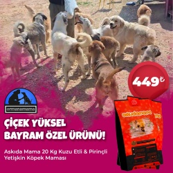 Çiçek Yüksel Bayram Özel Ürünü