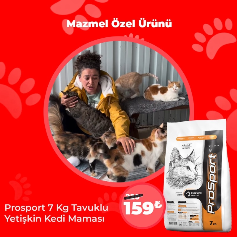 Mazmel Özel Ürünü Kedi