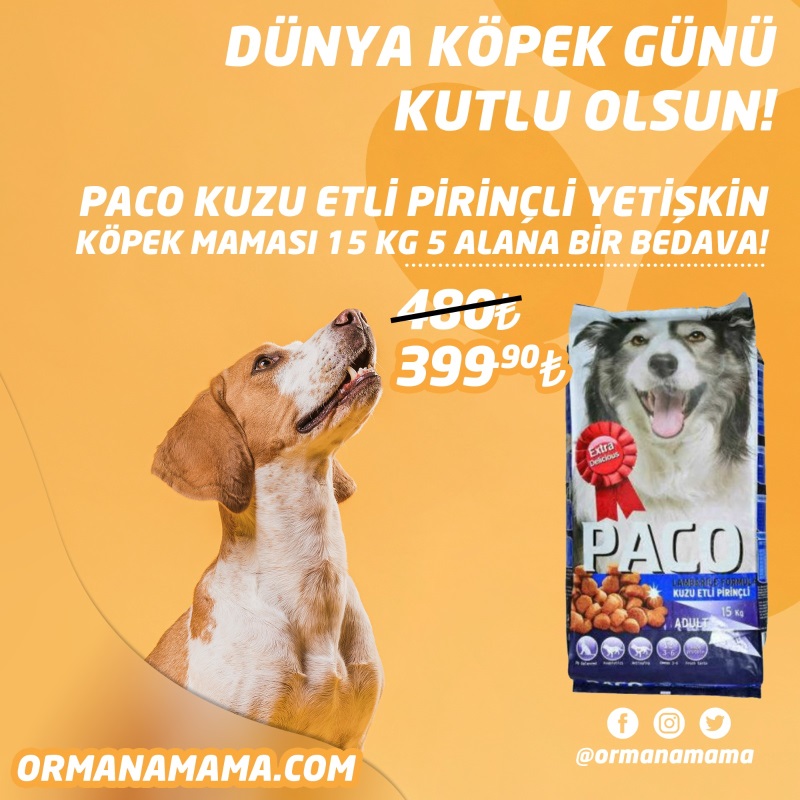 Paco 15 Kg Kuzu Etli Pirinçli Yetişkin Köpek Maması 5 Adet Alana 1 Bedava!