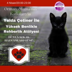 Yelda Çetiner 4 Nisan Özel Ürünü Winny Yavru Köpek Maması 15 Kg