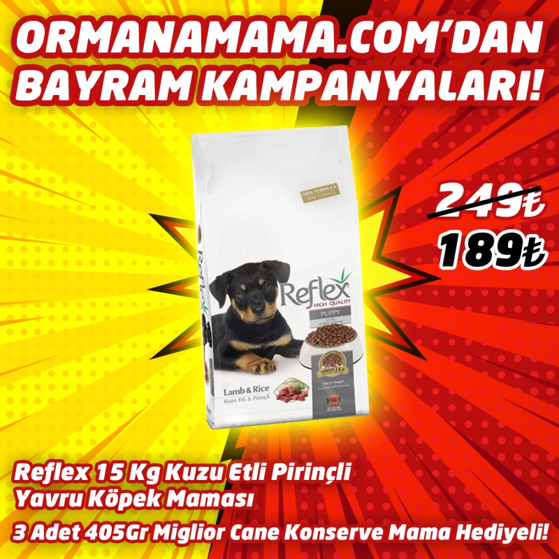 Reflex Puppy Kuzu Etli Yavru Köpek Maması 15 Kg   3 Adet Miglior Cane Konserve Mama Hediye