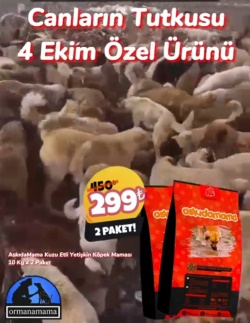 Canların Tutkusu 4 Ekim Özel Ürünü