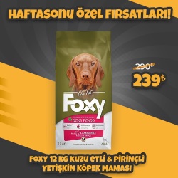 Foxy 12 Kg Kuzu Etli Yetişkin Köpek Maması