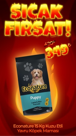 Econature 15 Kg Kuzu Etli Yavru Köpek Maması (Direkt Alım)