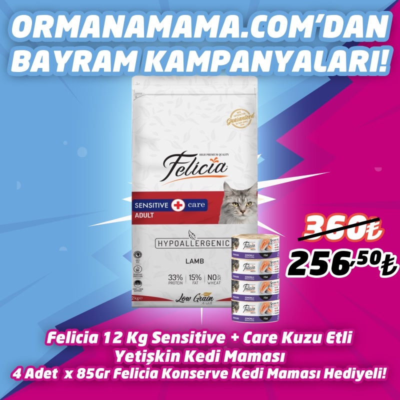 Felicia High Premium Kuzu Etli Yetişkin Kedi Maması 12 Kg  4 Adet Felicia 85 gr Konserve Hediye