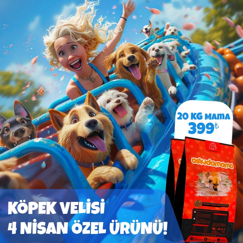 Köpek Velisi 4 Nisan Özel Ürünü