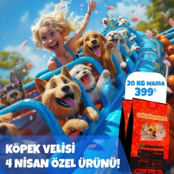 Köpek Velisi 4 Nisan Özel Ürünü