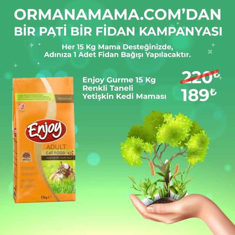 Enjoy 15 Kg Renkli Yetişkin Kedi Maması (Fidan Hediyeli)