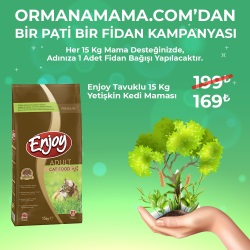 Enjoy Tavuklu Yetişkin Kedi Maması 15 kg (Fidan Hediyeli)