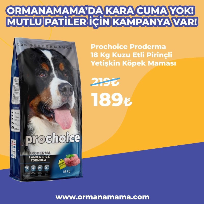 Prochoice Proderma 18 Kg Kuzu Etli Pirinçli Yetişkin Köpek Maması
