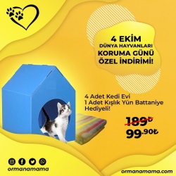 4 Adet Kedi Evi 1 Adet Battaniye Hediyeli