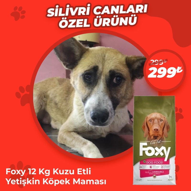 Foxy 12 Kg Köpek Maması Silivri Canları Özel Ürünü