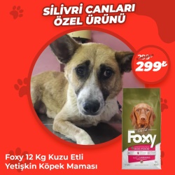 Foxy 12 Kg Köpek Maması Silivri Canları Özel Ürünü