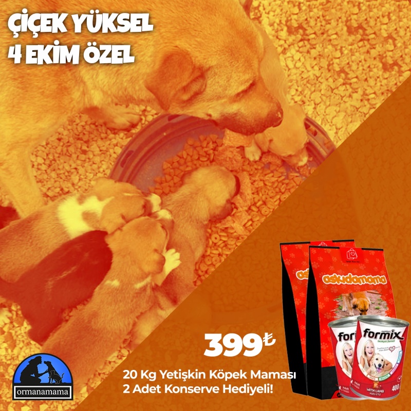 Çiçek Yüksel 4 Ekim Özel