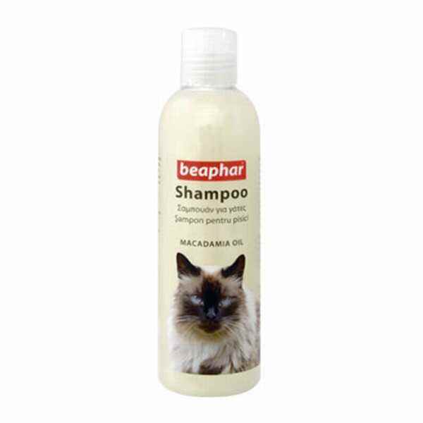 Beaphar Macadamia Yağlı Tüy Onarıcı Kedi Şampuanı 250 Ml