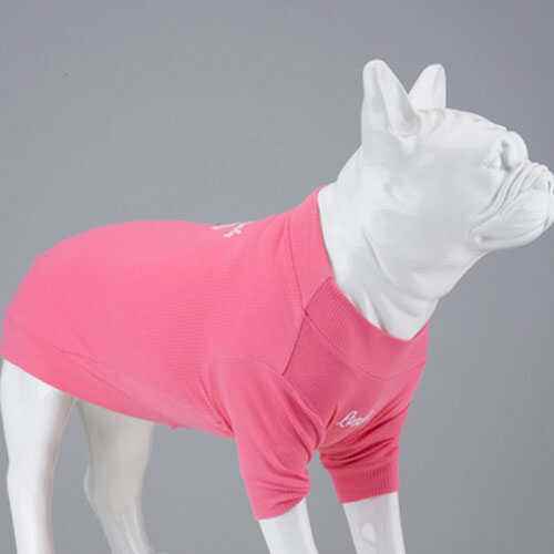 Lindodogs Cotton Candy Tshirt Köpek Kıyafeti Beden 6