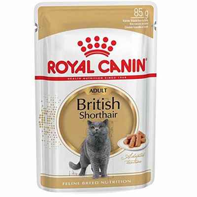 Royal Canin British Shorthair Adult Pouch Yetişkin Kedi Konservesi 12 Adet 85 Gr