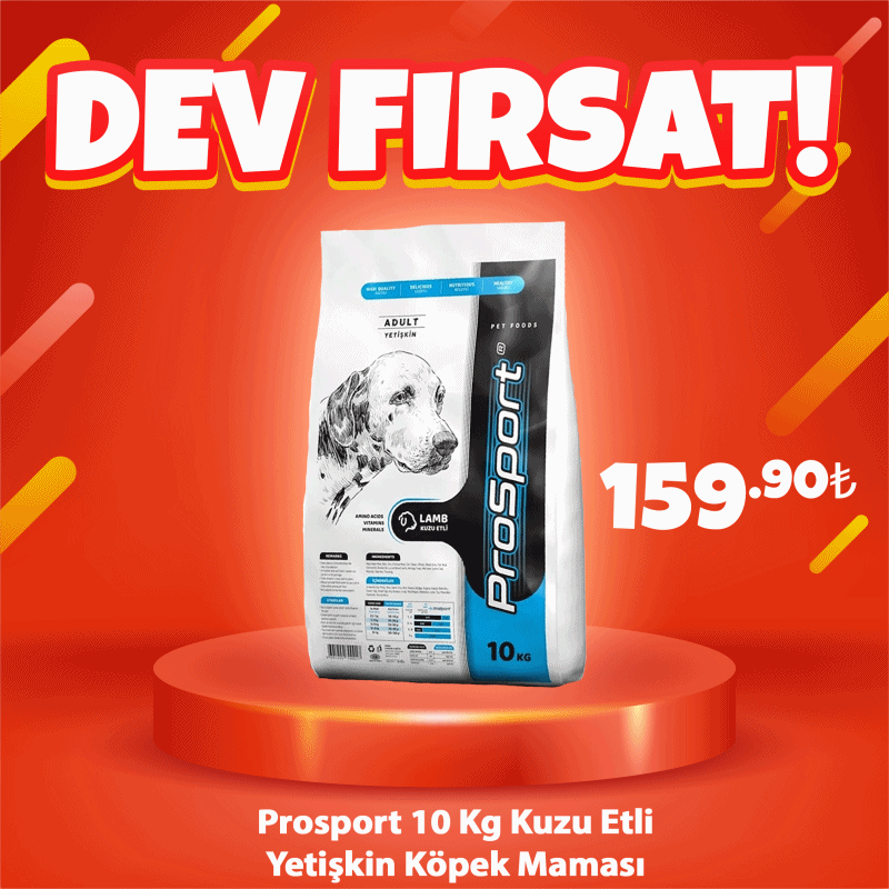 Prosport 10 Kg Kuzu Etli Yetişkin Köpek Maması