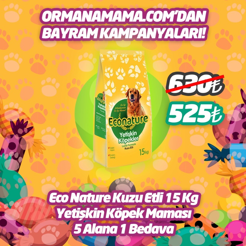 Eco Nature Kuzu Etli 15 Kg Yetişkin Köpek Maması 5 Alana 1 Bedava