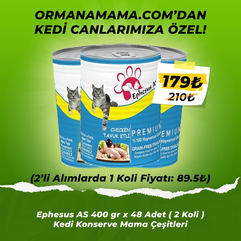 Ephesus As Kedi Konservesi Çeşitleri 415 gr x 48 Adet (Avantaj Paketi)