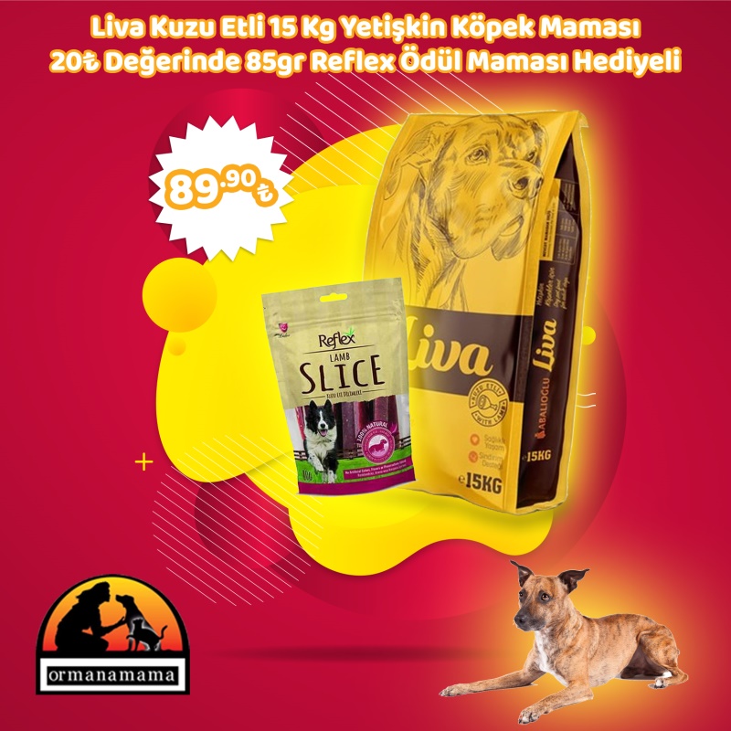 Liva Yetişkin Kuzu Etli Köpek Maması 15 Kg + Reflex Etli 85gr Ödül