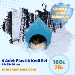 4 Adet Plastik Kedi Evi