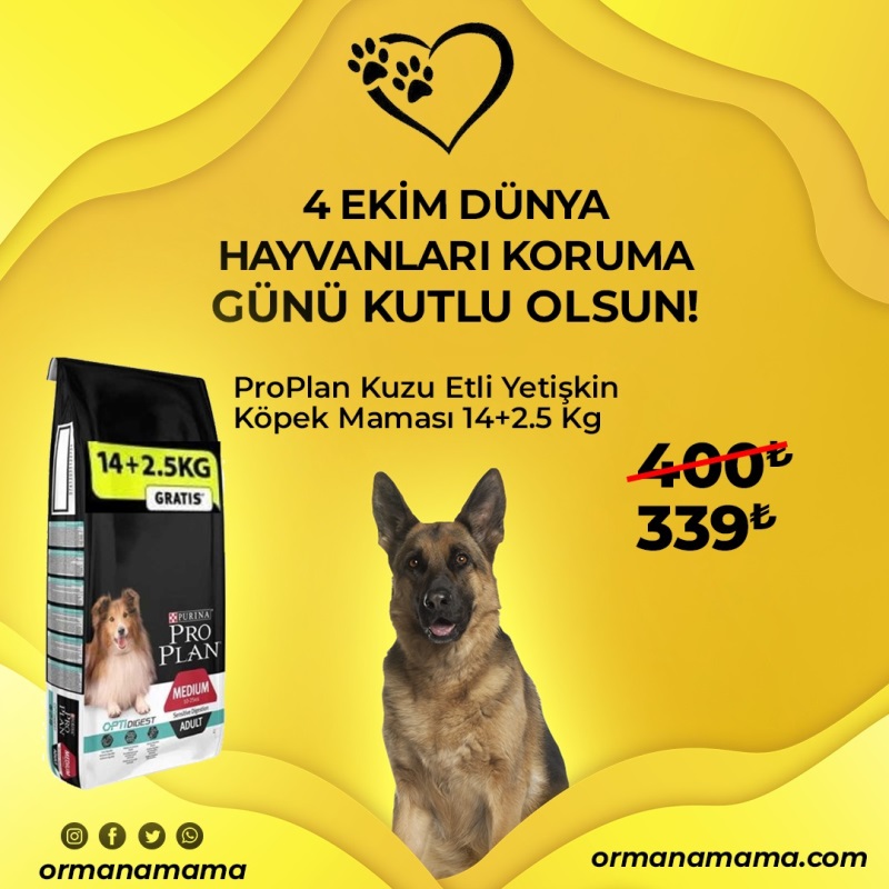 ProPlan Adult  14+2.5 Kg Sensitive Hassas Kuzu Etli Yetişkin Köpek Maması 