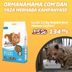 La Cat Chicken Tavuklu Yetişkin Kedi Maması 7.2 Kg