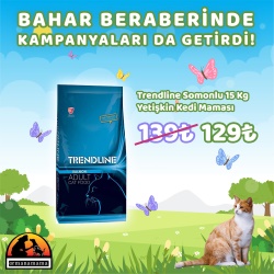 Trendline Somonlu 15 Kg Yetişkin Kedi Maması