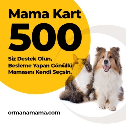 Mama Hediye Kartı 500