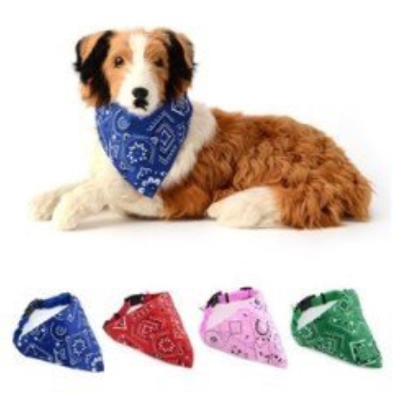 BOYUN FULAR TASMA MEDIUM