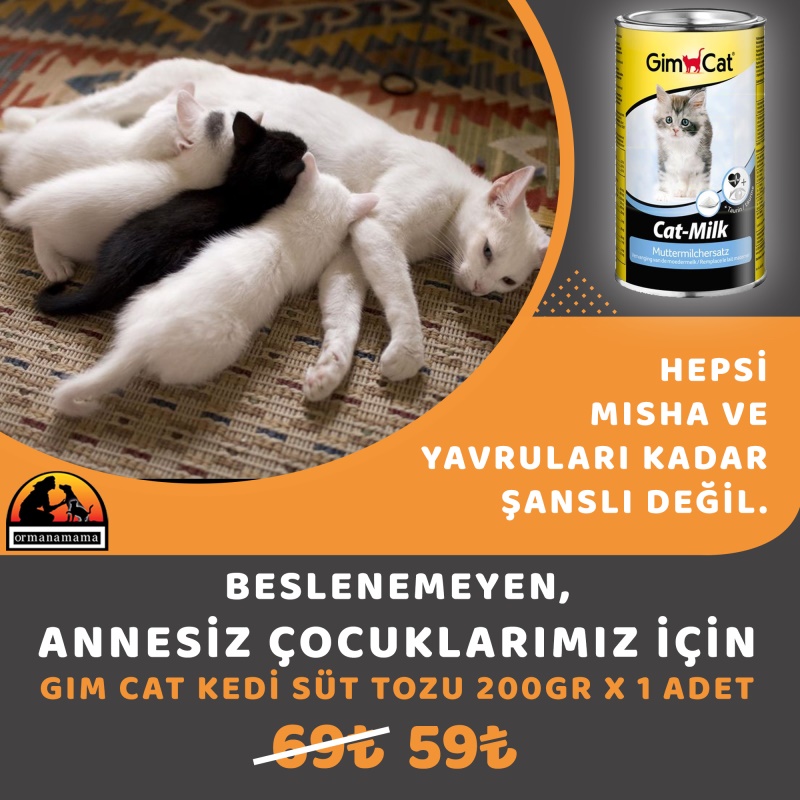 Gimcat Milk Yavru Kedi Süt Tozu 200 GR x 1 Adet