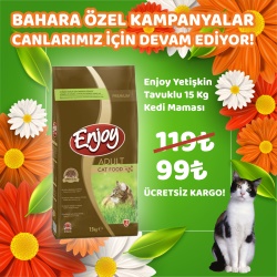                                                                                                        Enjoy Yetişkin Tavuklu 15 Kg Kedi Maması 