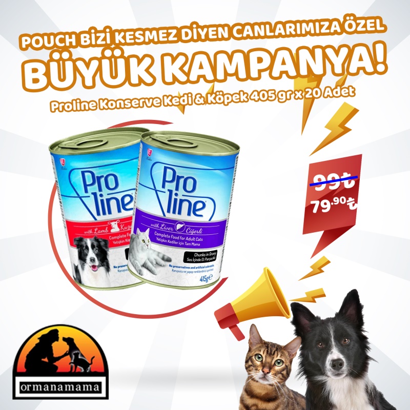                                                                     Proline Kedi ve Köpek Konserve Çeşitleri 405gr x 20 Adet